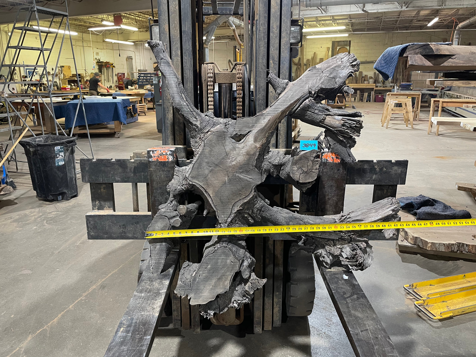 BLACK WALNUT CROSSCUT (3849) 43” L x 50"-52” W x 3”