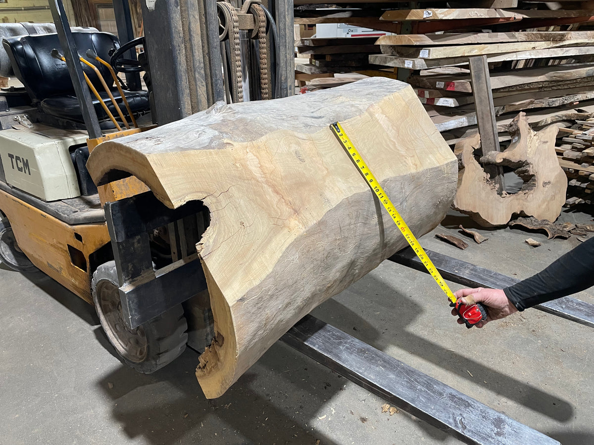 Sycamore log base (3568)  49” L x 29” x 31&quot; W x 3.5” T