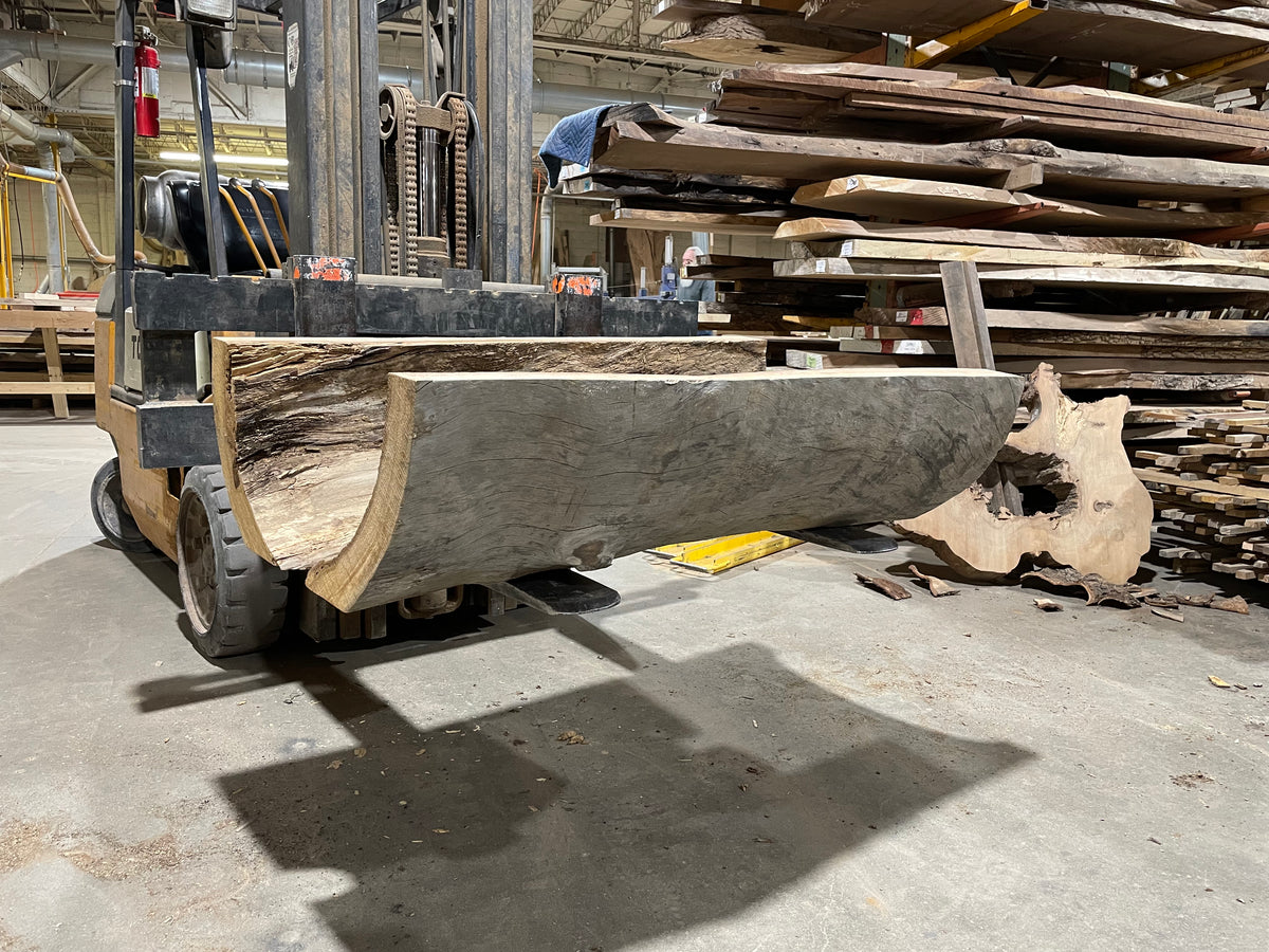 Sycamore log base (3568)  49” L x 29” x 31&quot; W x 3.5” T