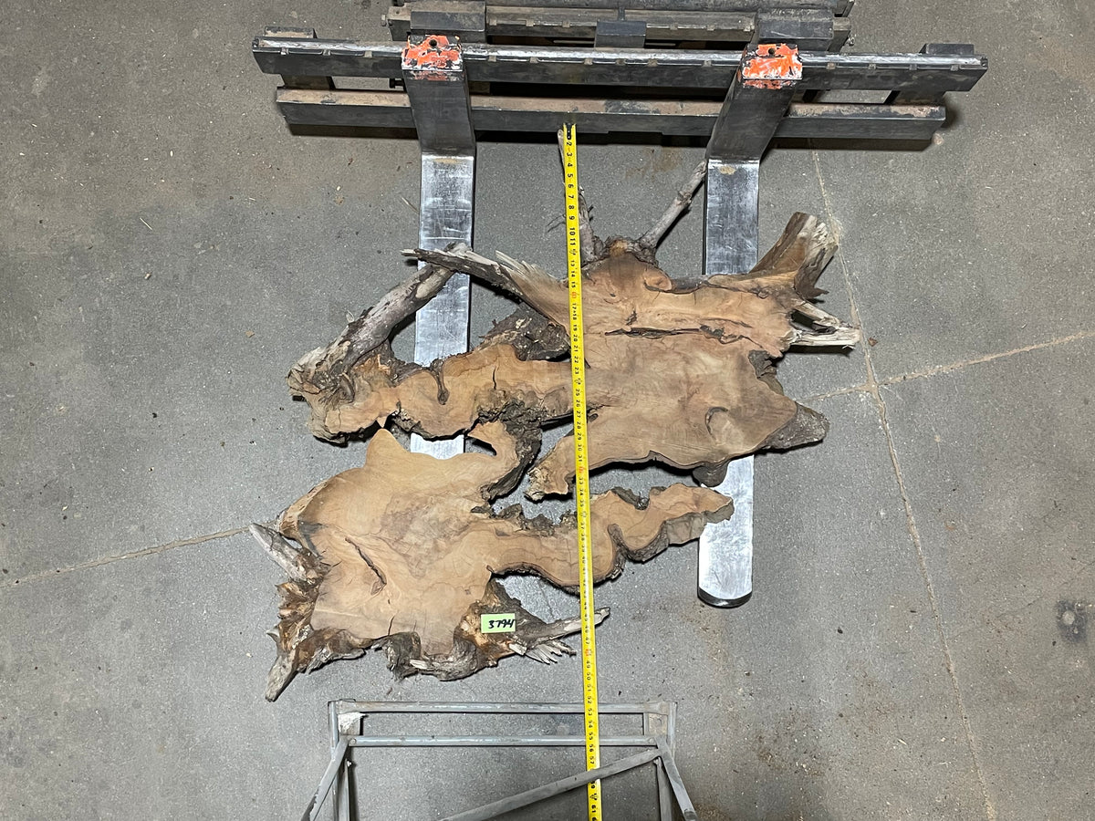 American Elm Crosscut (3794) 49”x 49"x 63” W x 4” T