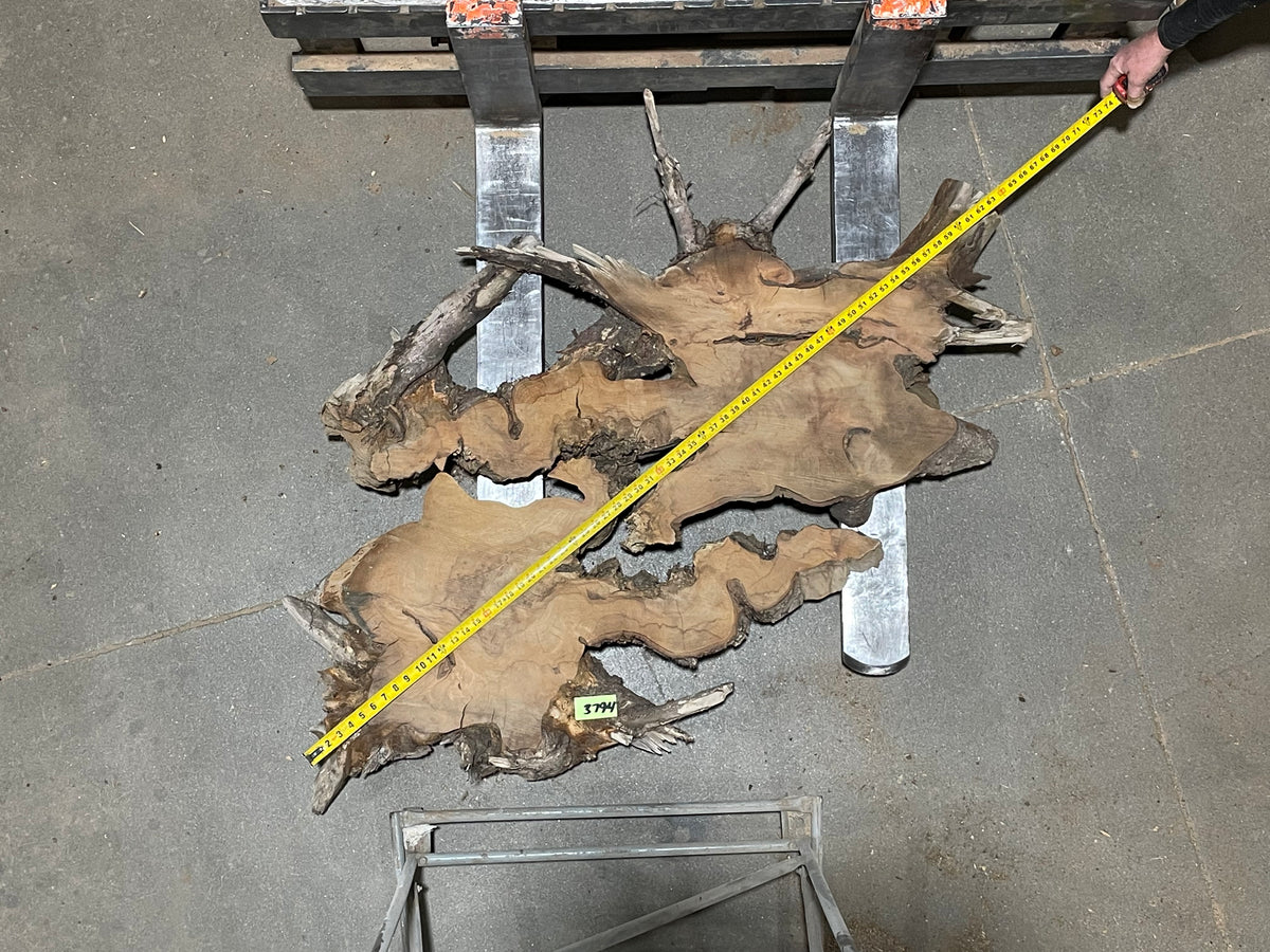 American Elm Crosscut (3794) 49”x 49"x 63” W x 4” T