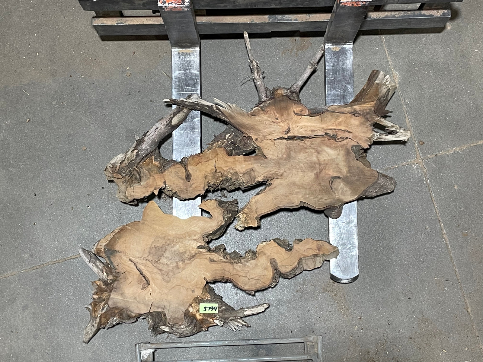 American Elm Crosscut (3794) 49”x 49"x 63” W x 4” T