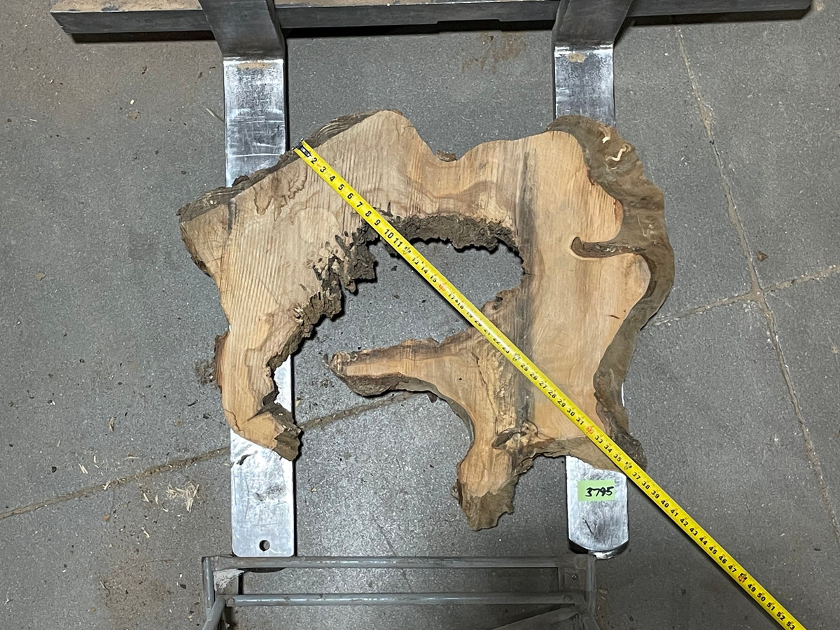 American Elm Crosscut (3795) 34”x 35&quot;x 35” W x 4” T