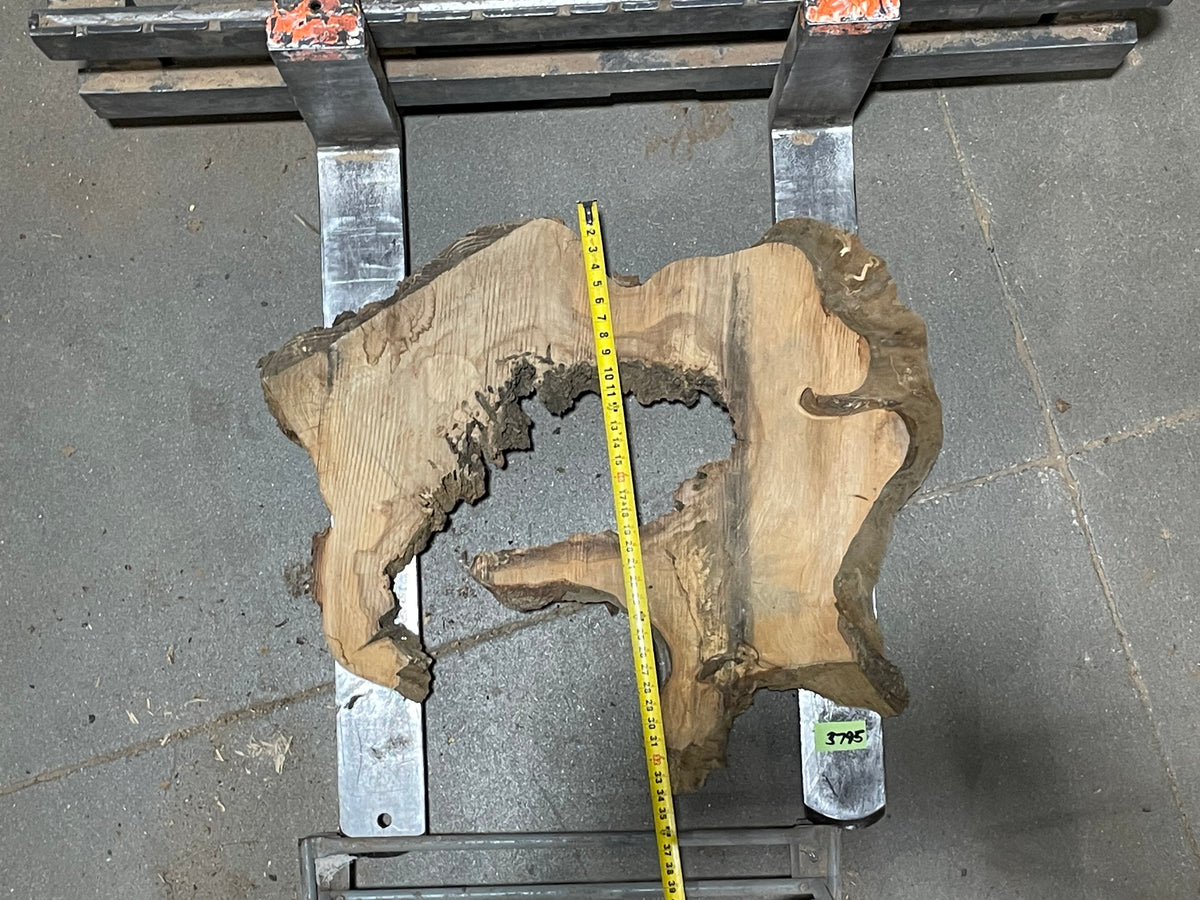 American Elm Crosscut (3795) 34”x 35&quot;x 35” W x 4” T