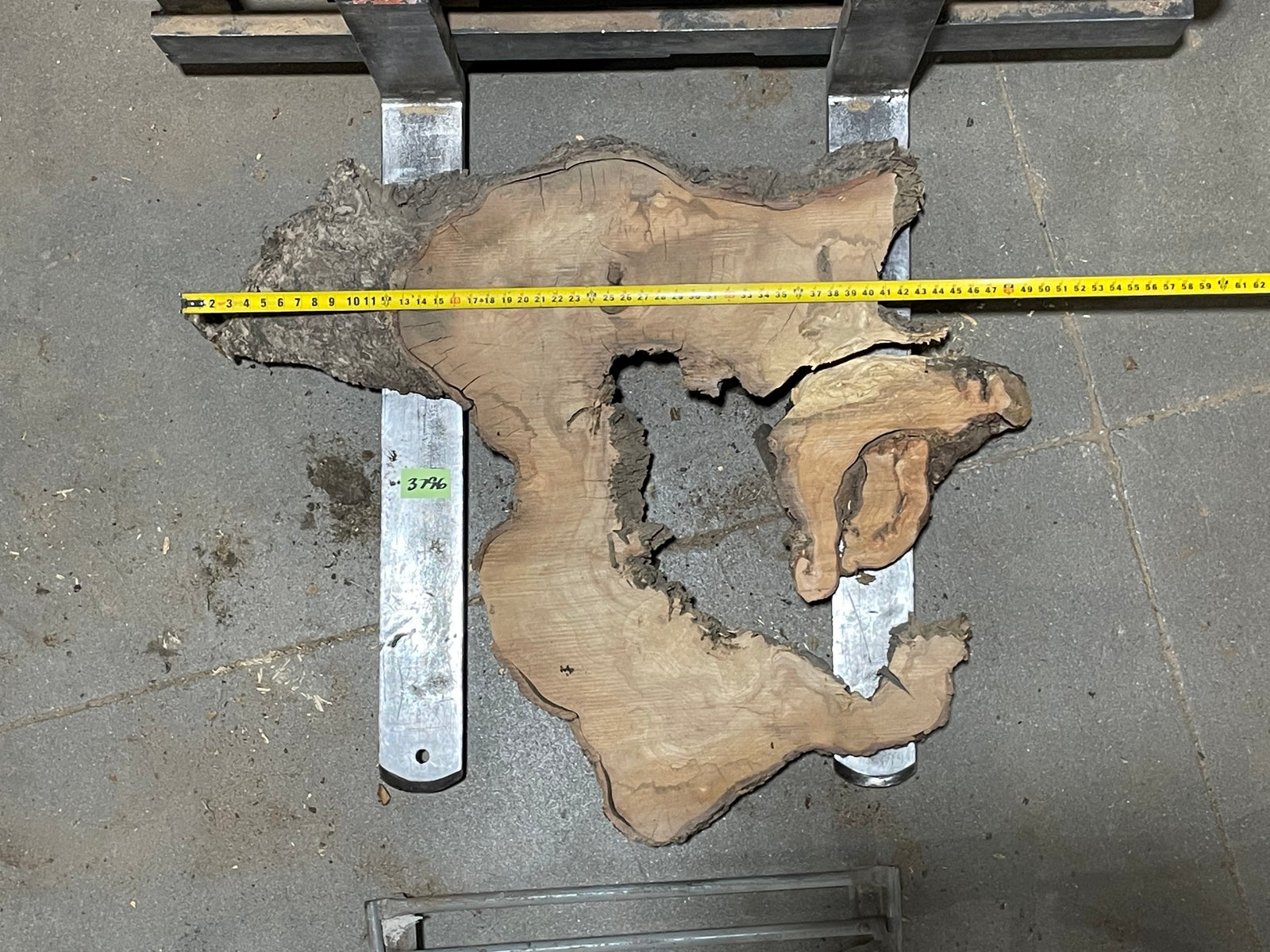 American Elm Crosscut (3796) 41”x 48"x 51” W x 4” T