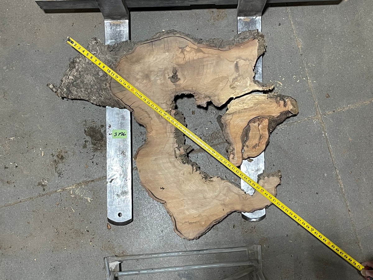 American Elm Crosscut (3796) 41”x 48"x 51” W x 4” T