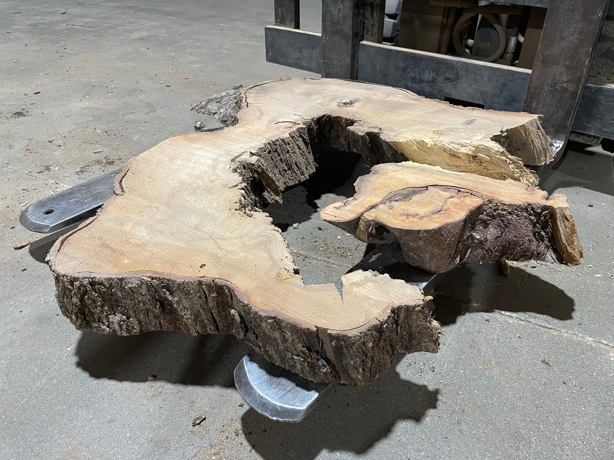 American Elm Crosscut (3796) 41”x 48"x 51” W x 4” T