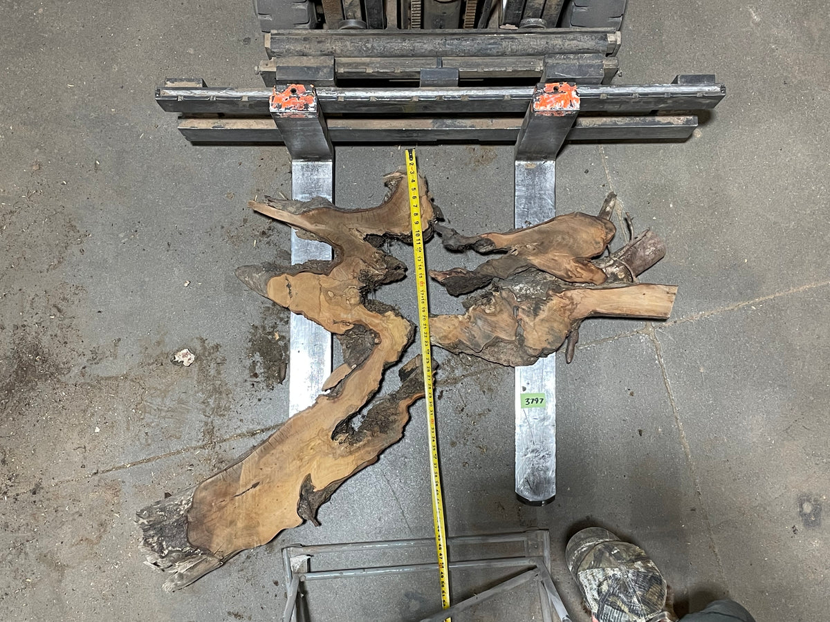 American Elm Crosscut (3797) 29”x 51&quot;x 69” W x 4” T