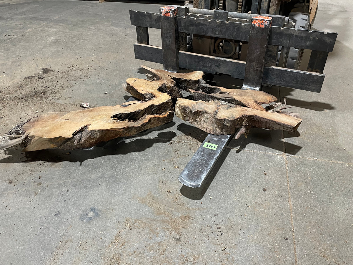 American Elm Crosscut (3797) 29”x 51&quot;x 69” W x 4” T