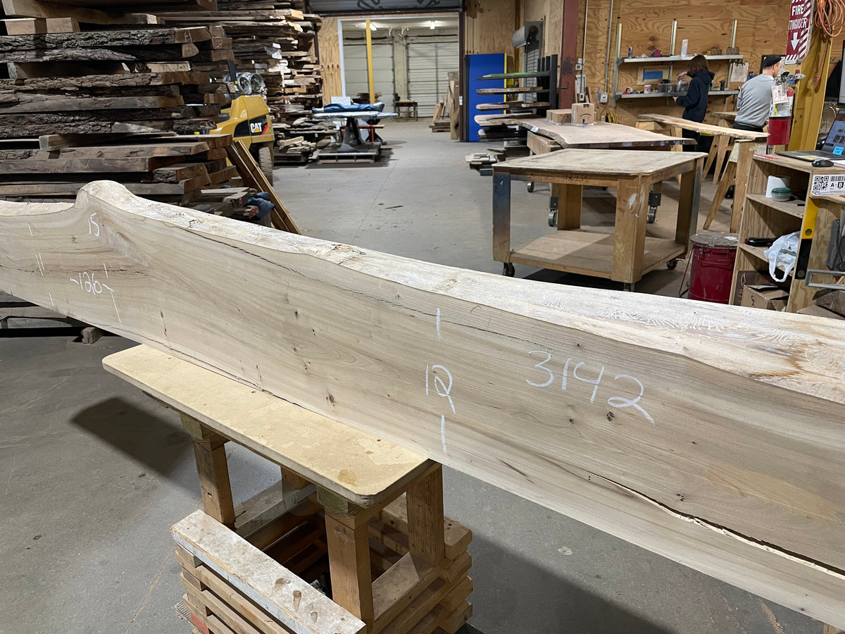 American Elm Mantle (3142)  126” L x 8-15” W x 4.75” T