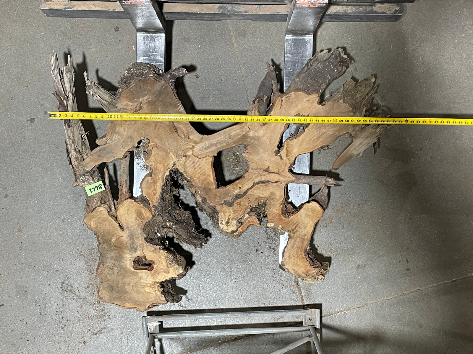 American Elm Crosscut (3798) 39”x 58"x 59” W x 4” T