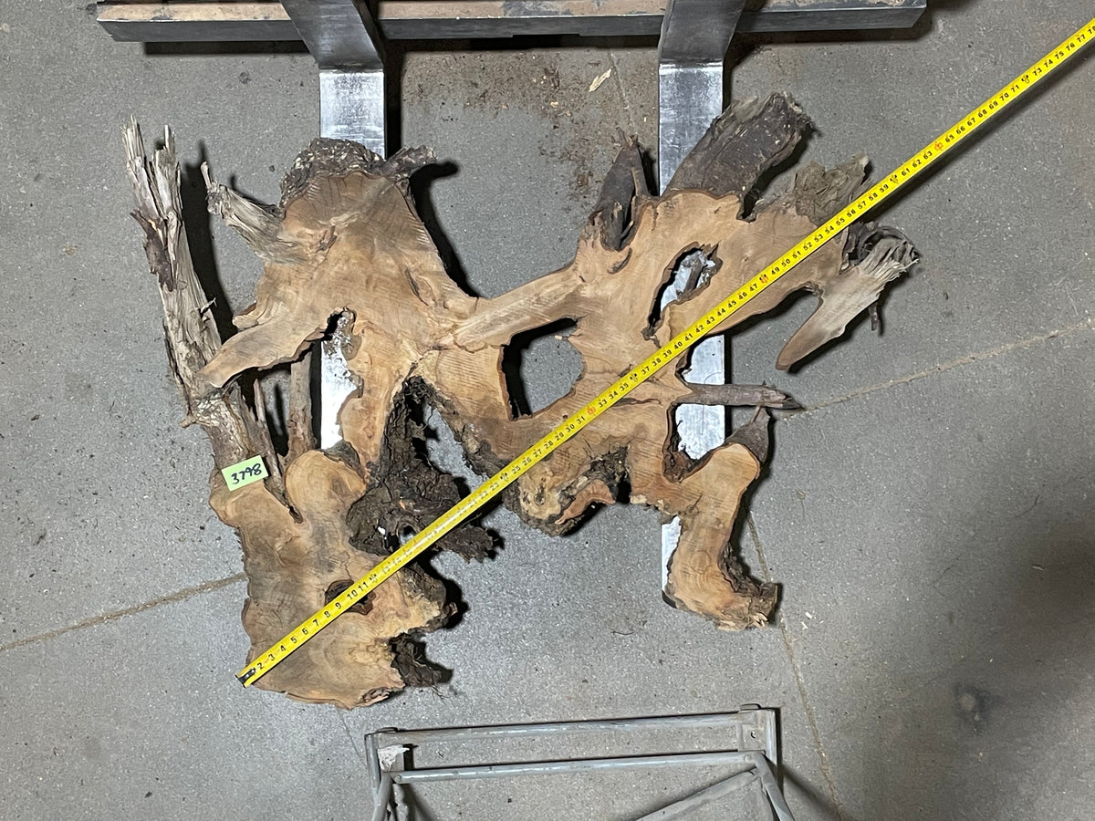 American Elm Crosscut (3798) 39”x 58&quot;x 59” W x 4” T