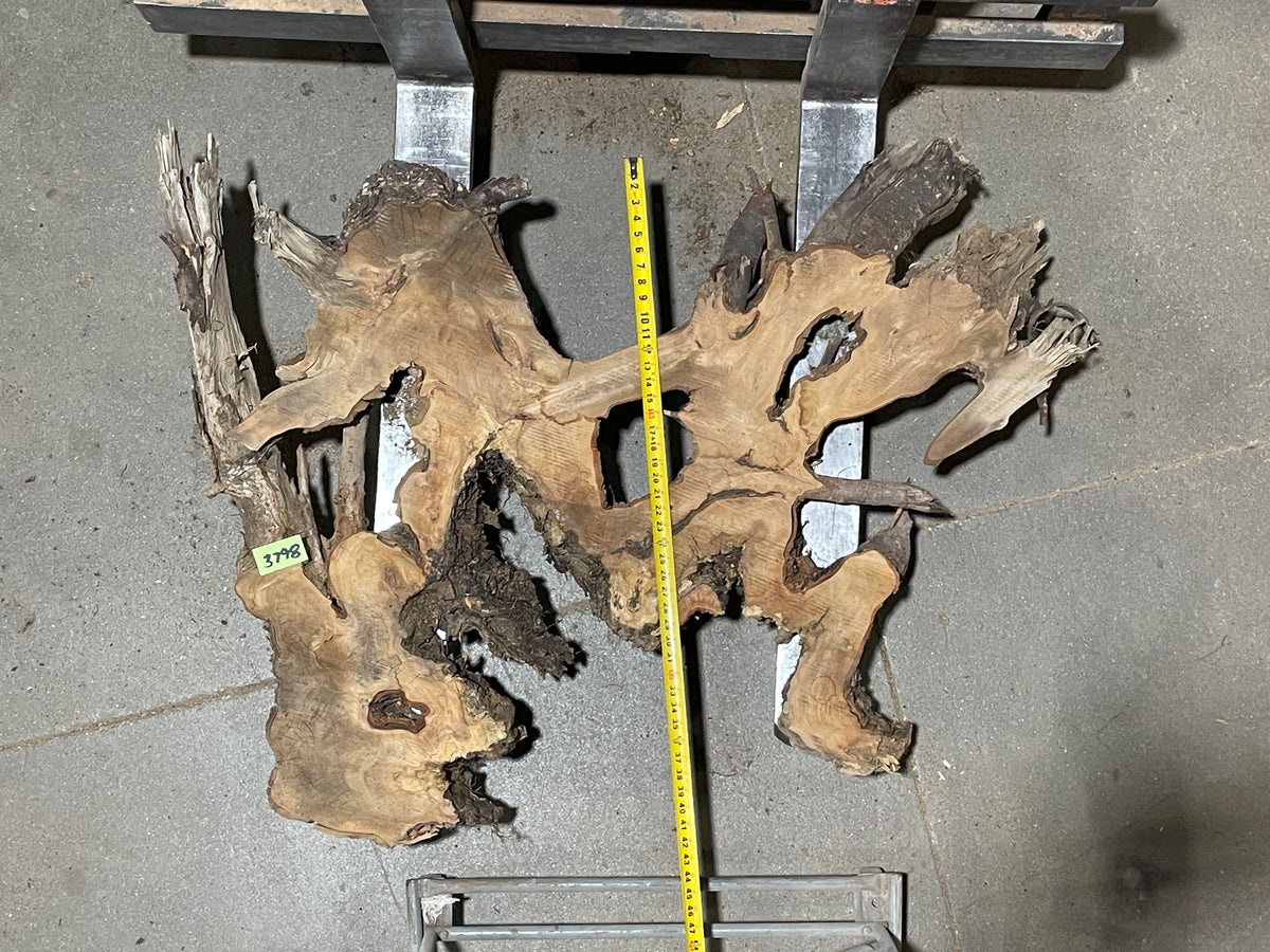 American Elm Crosscut (3798) 39”x 58&quot;x 59” W x 4” T