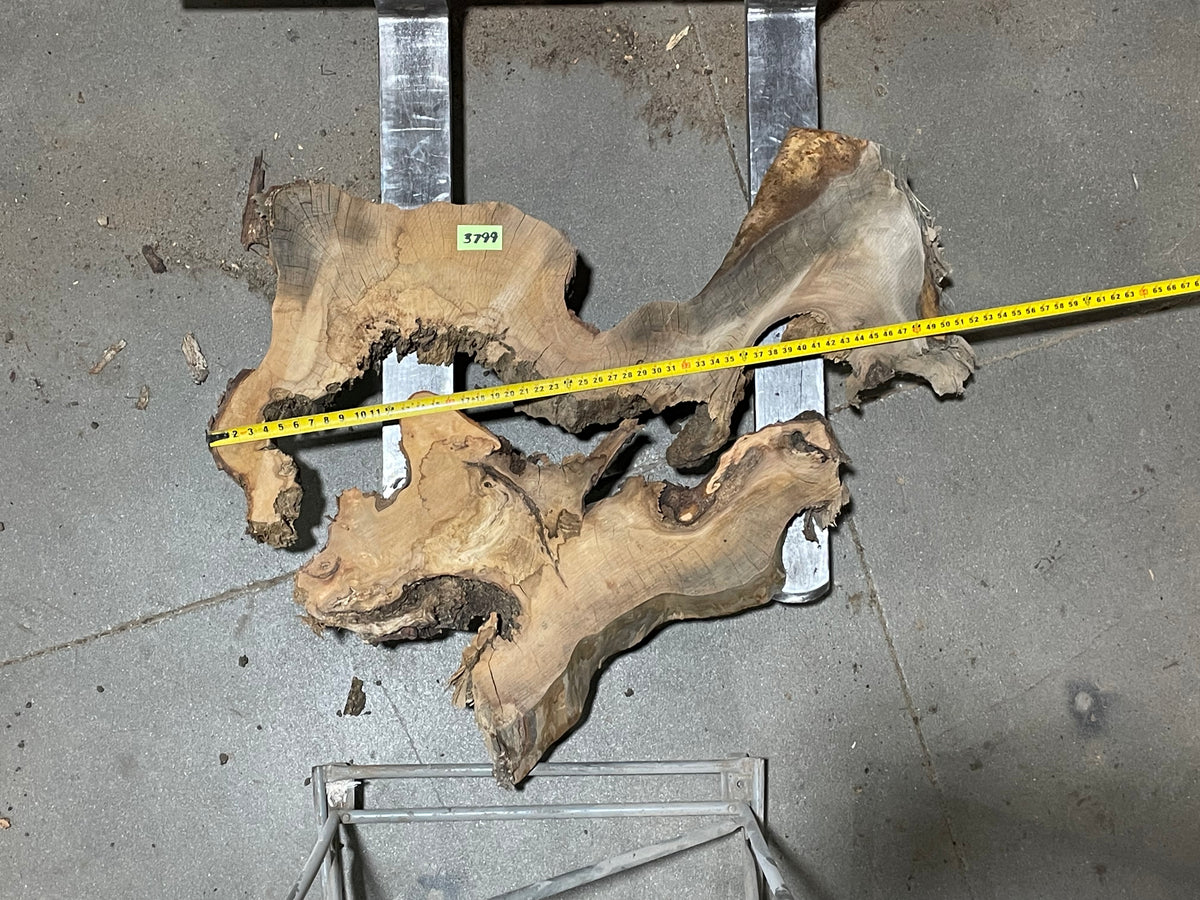 American Elm Crosscut (3799) 41”x 51&quot;x 52” W x 4” T