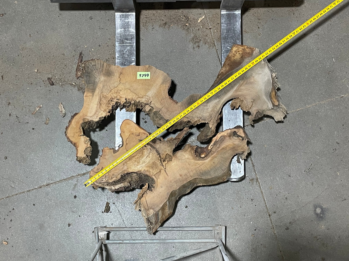 American Elm Crosscut (3799) 41”x 51&quot;x 52” W x 4” T