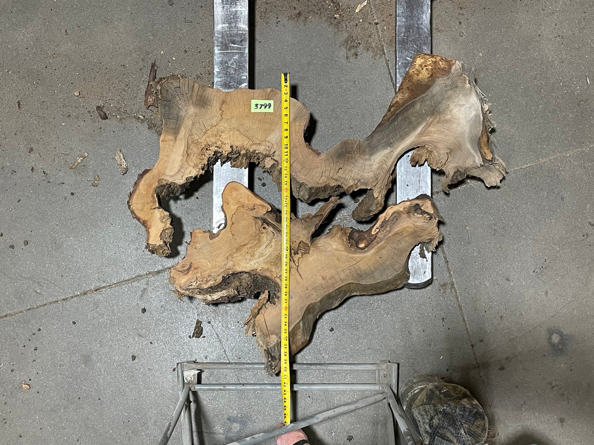 American Elm Crosscut (3799) 41”x 51&quot;x 52” W x 4” T