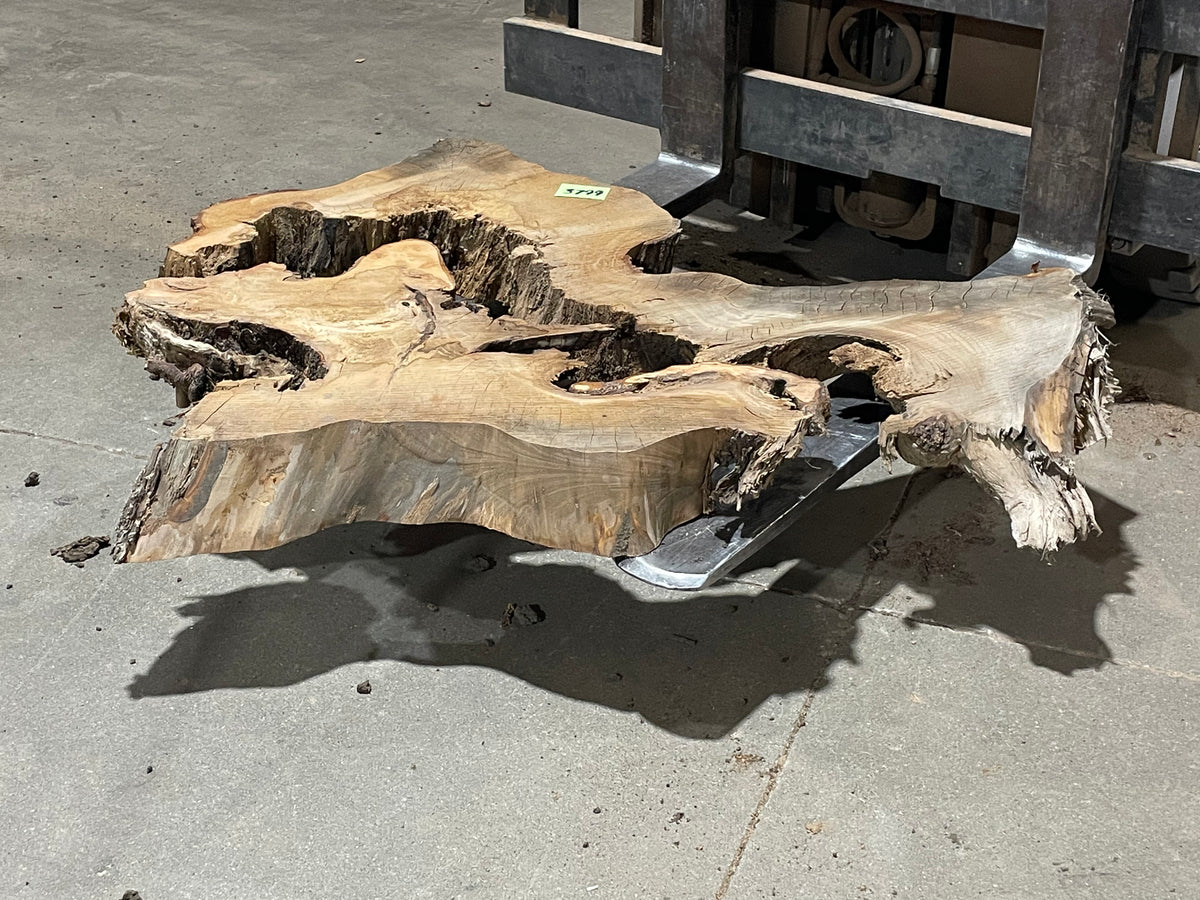 American Elm Crosscut (3799) 41”x 51&quot;x 52” W x 4” T