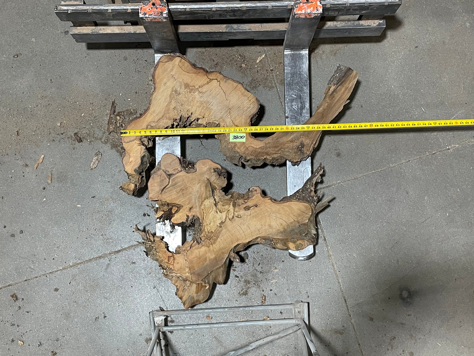 American Elm Crosscut (3800) 45”x 46"x 48” W x 4” T