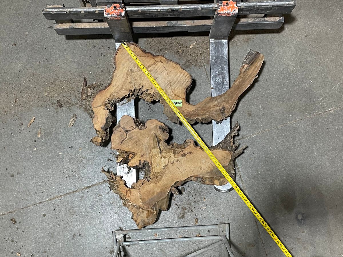 American Elm Crosscut (3800) 45”x 46"x 48” W x 4” T