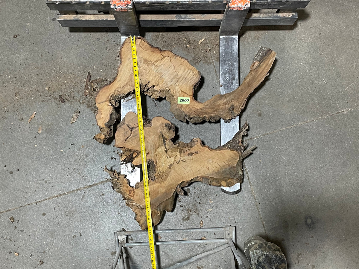 American Elm Crosscut (3800) 45”x 46"x 48” W x 4” T