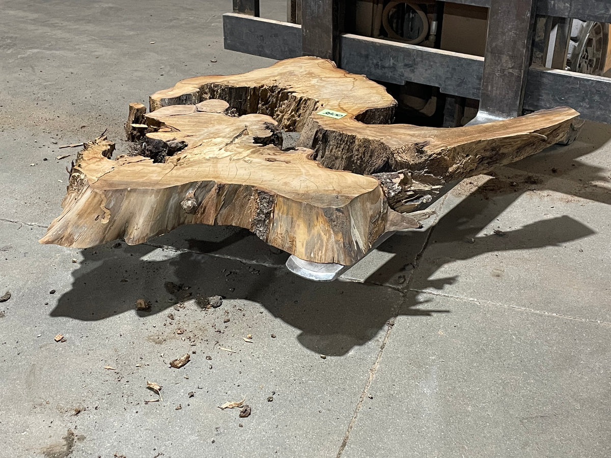 American Elm Crosscut (3800) 45”x 46"x 48” W x 4” T