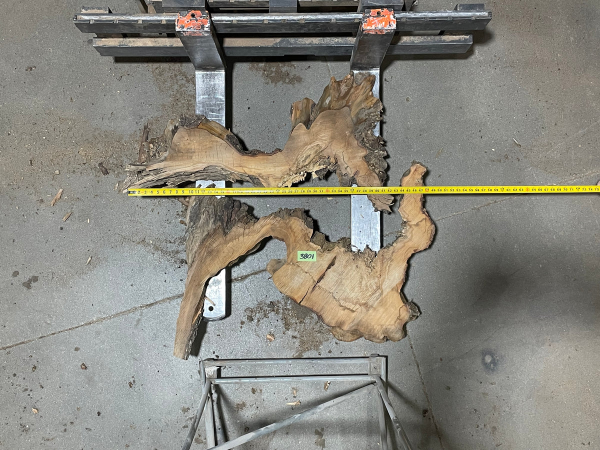 American Elm Crosscut (3801) 42”x 48&quot;x 51” W x 4” T