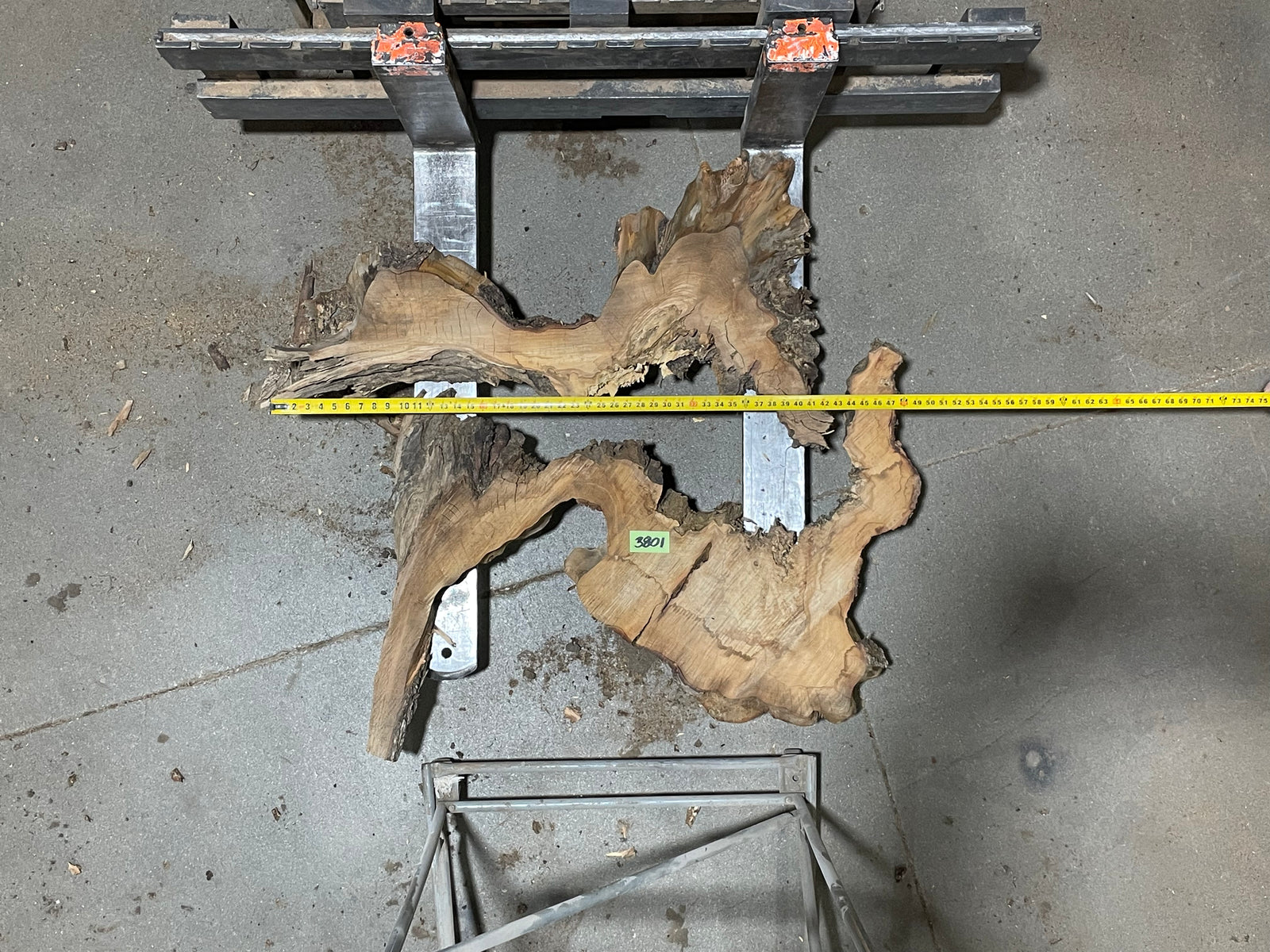 American Elm Crosscut (3801) 42”x 48"x 51” W x 4” T