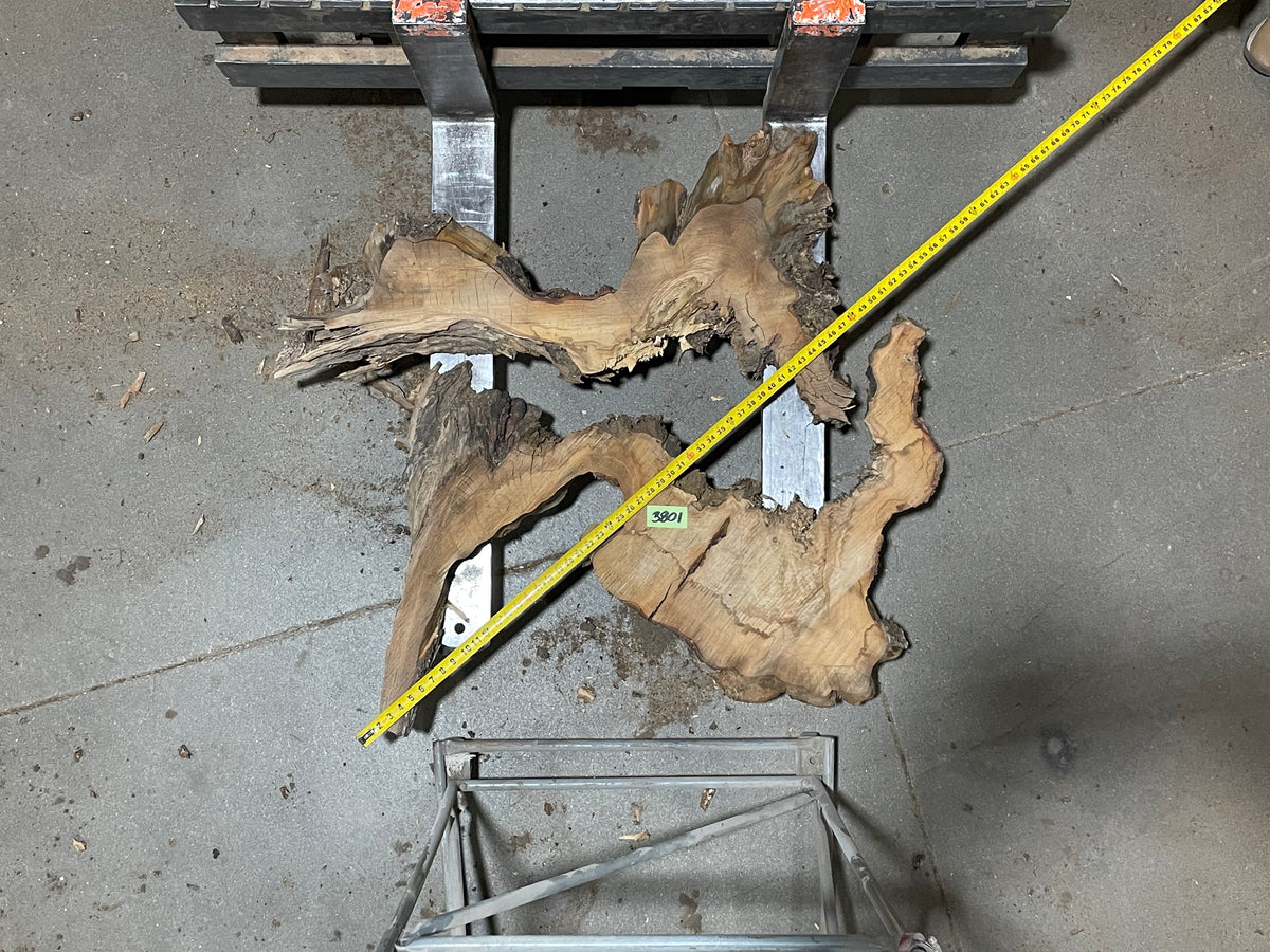 American Elm Crosscut (3801) 42”x 48&quot;x 51” W x 4” T