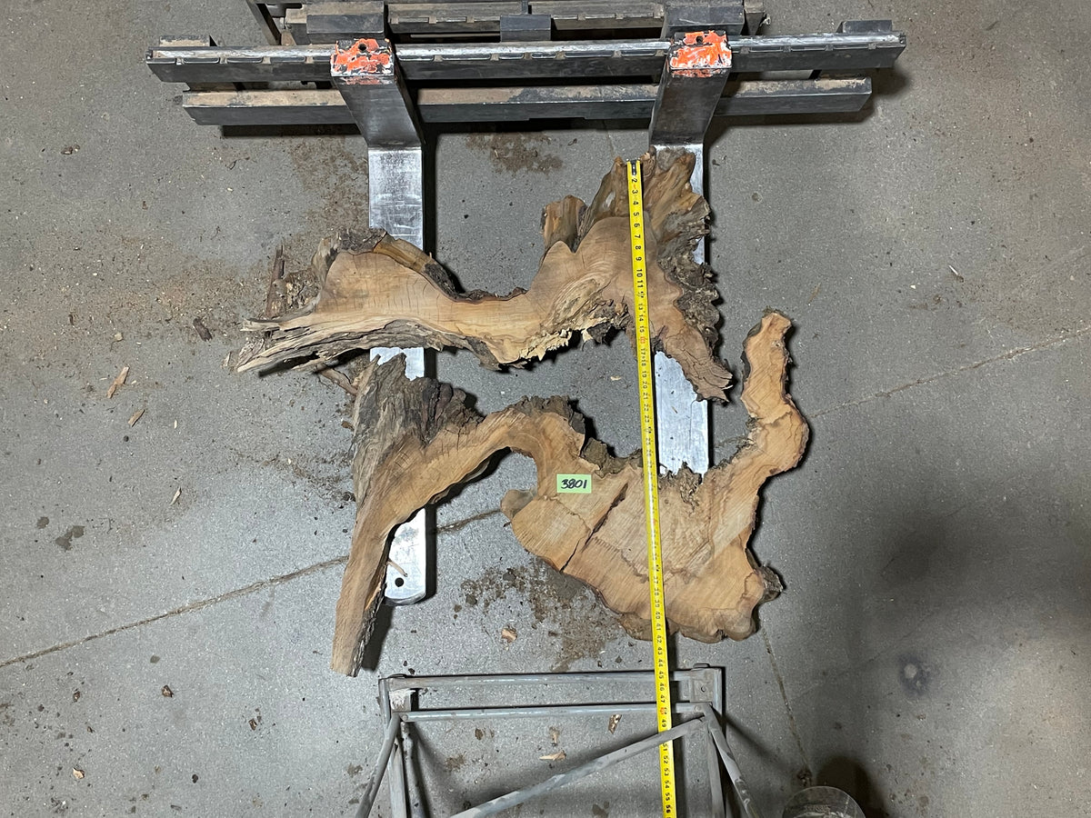 American Elm Crosscut (3801) 42”x 48&quot;x 51” W x 4” T