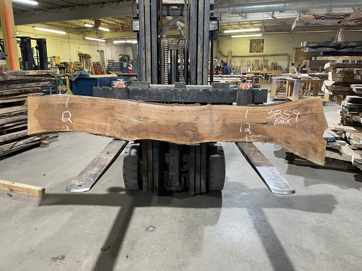 BLACK WALNUT (3859) 99” L x 10"-21” W x 2.25”