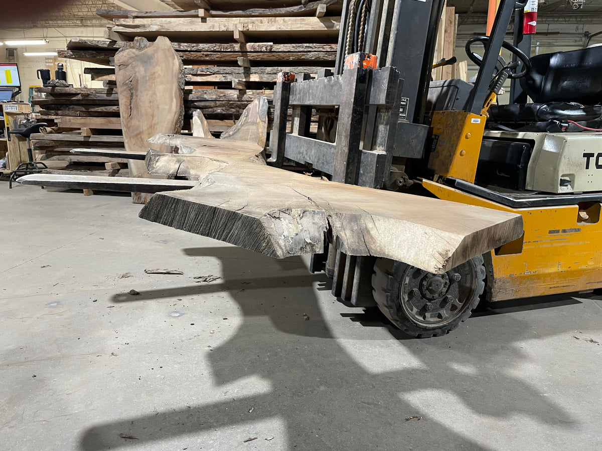 BLACK WALNUT (3860) 98” L x 5"-32” W x 2.5”