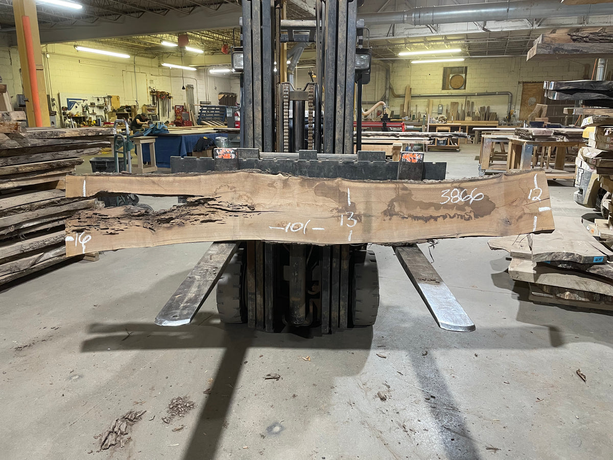 BLACK WALNUT (3866) 101” L x 12"-16” W x 2.25”