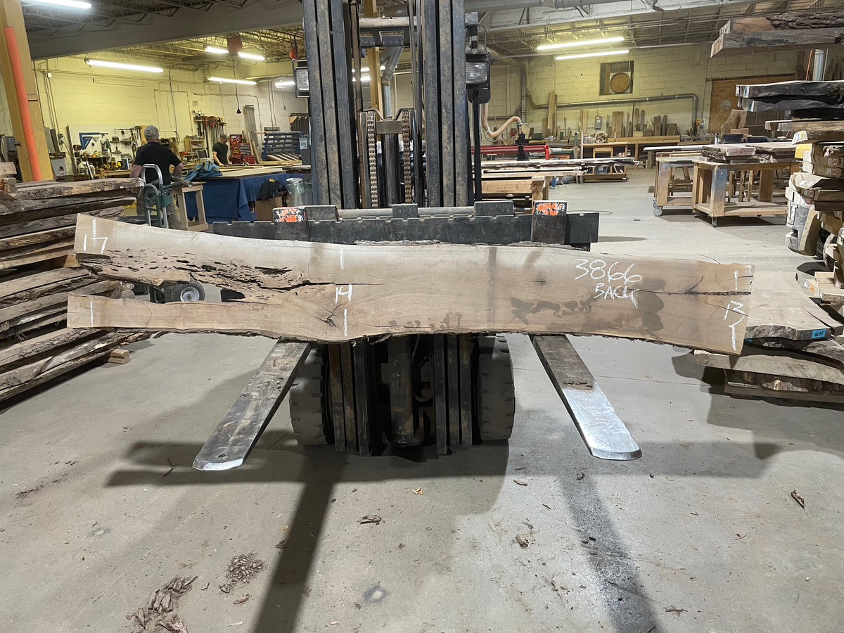 BLACK WALNUT (3866) 101” L x 12"-16” W x 2.25”