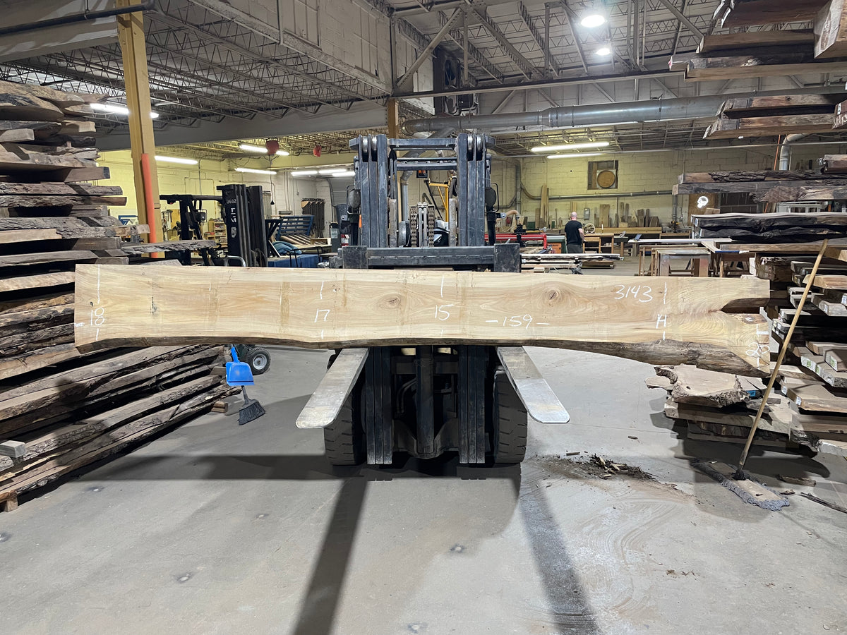 American Elm (3143) 159” L x 14-20” W x 3” T