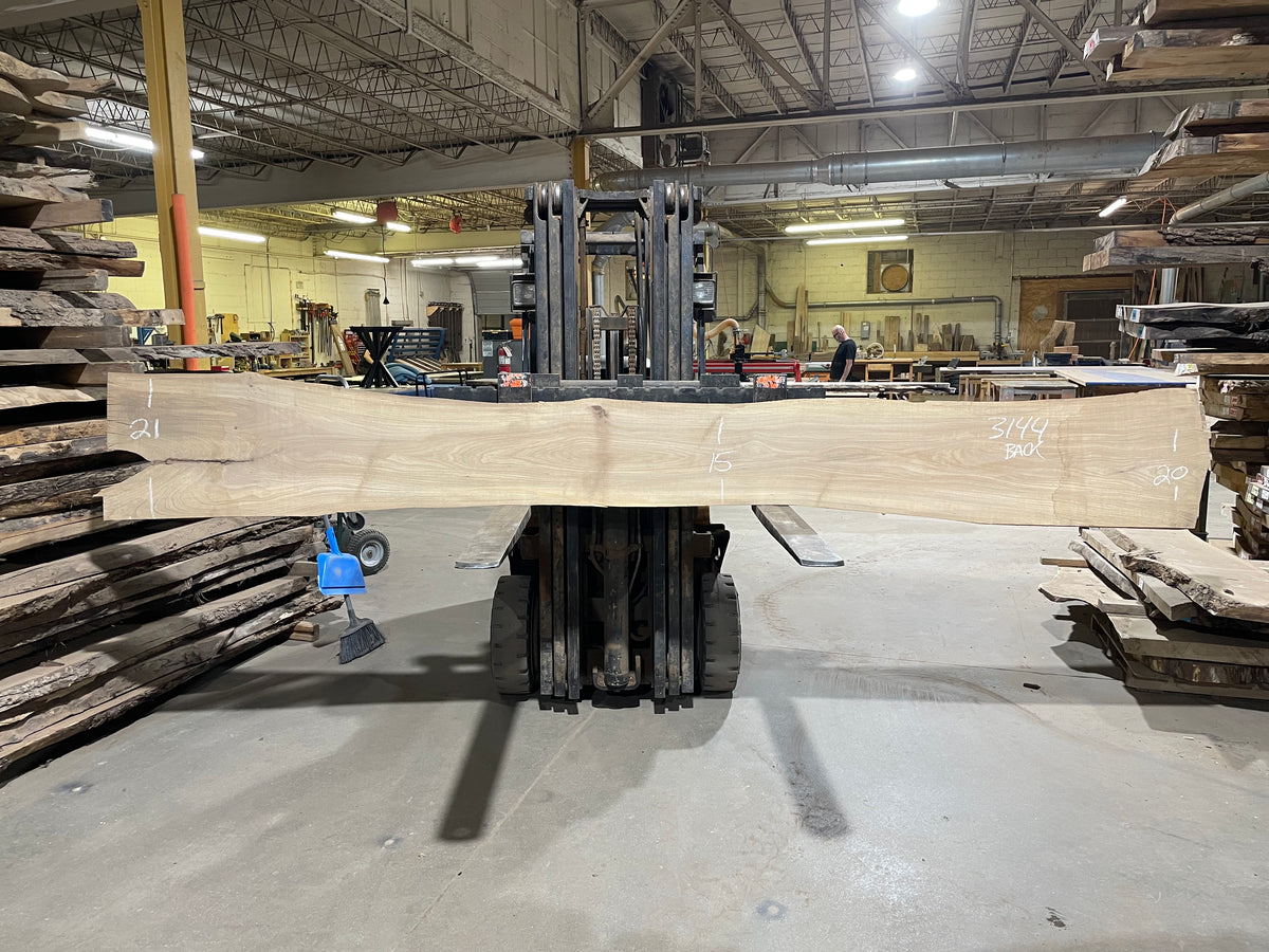 American Elm (3144) 160” L x 8-17” W x 3” T