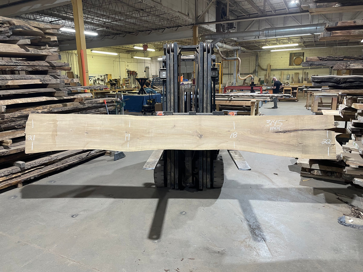 American Elm (3145) 159” L x 15-21” W x 3” T