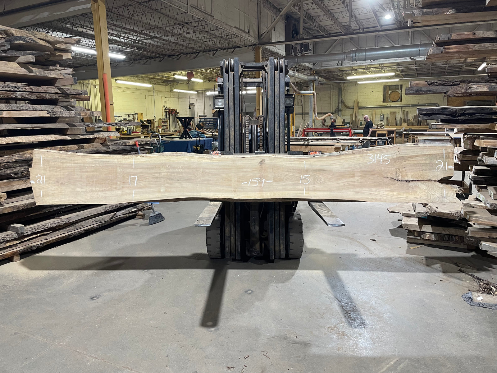 American Elm (3145) 159” L x 15-21” W x 3” T