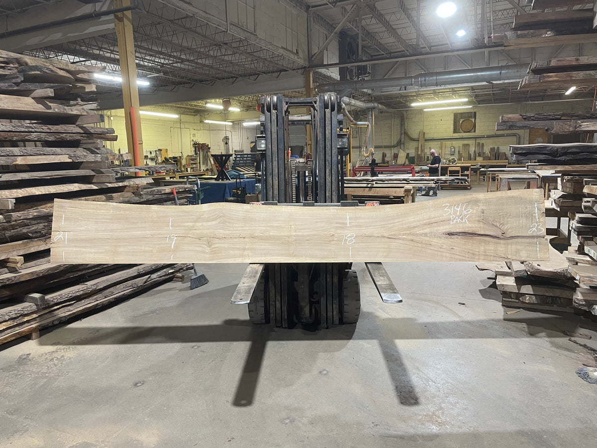 American Elm (3146) 159” L x 17-23” W x 3” T