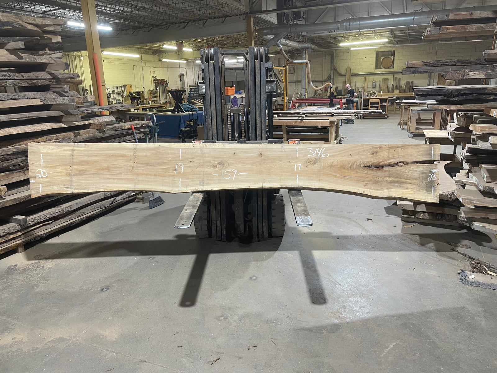 American Elm (3146) 159” L x 17-23” W x 3” T