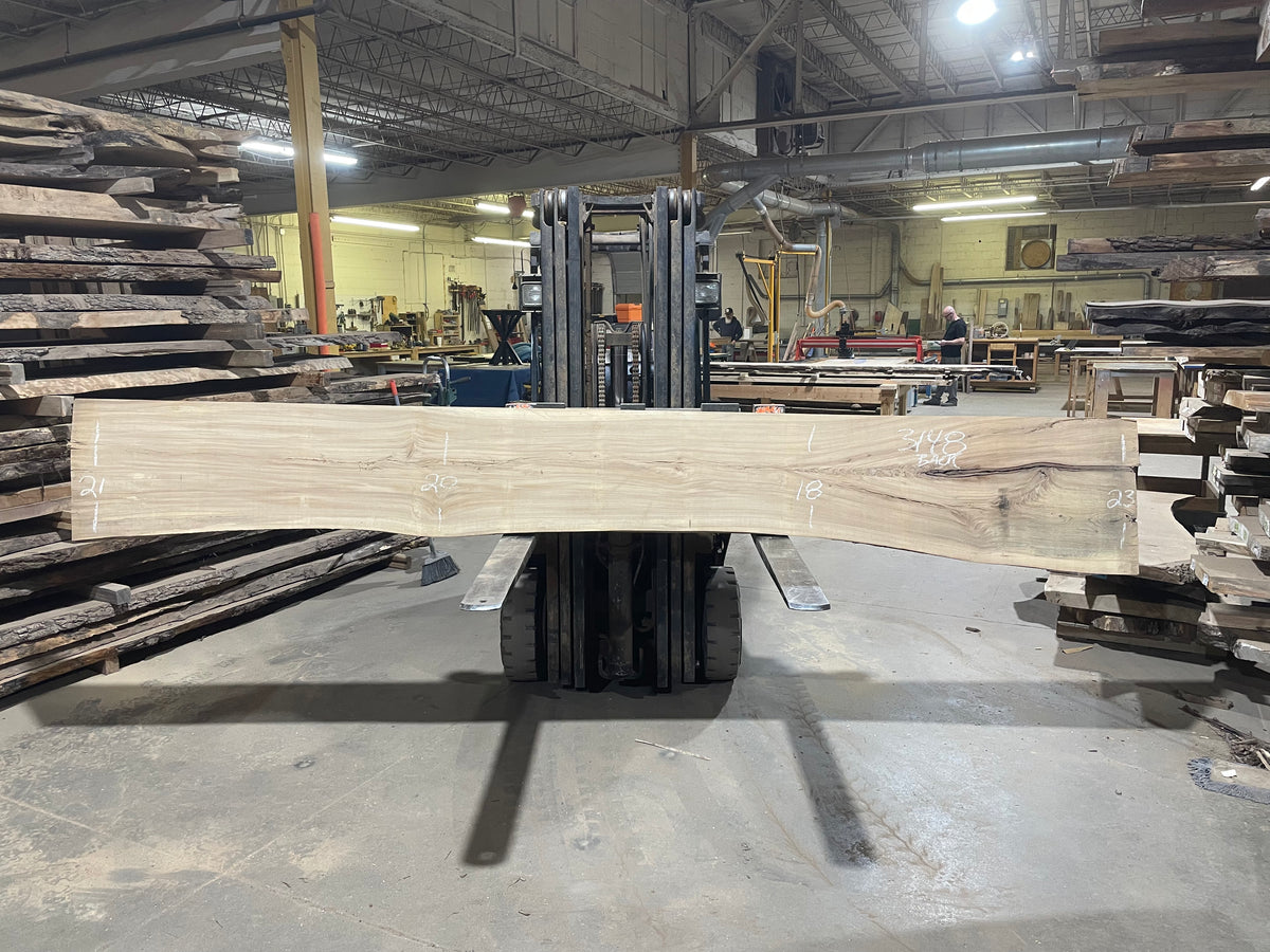 American Elm (3148) 160” L x 18-22” W x 3” T