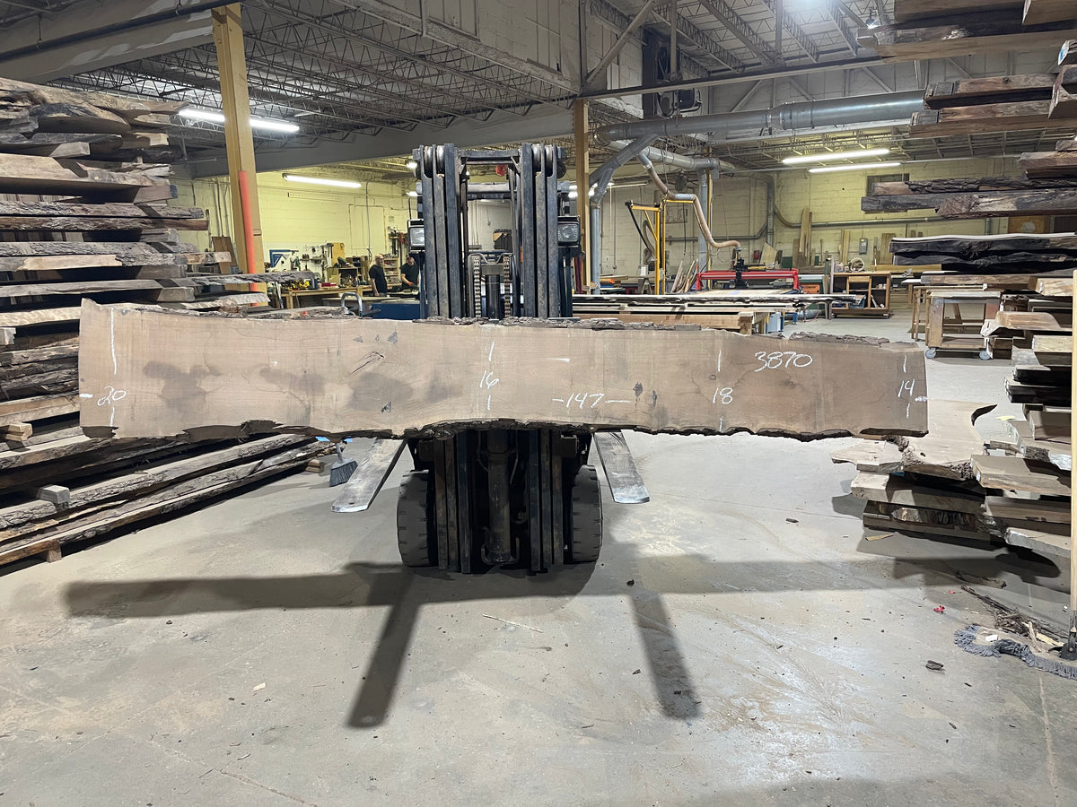 BLACK WALNUT (3870) 147” L x 14&quot;-20” W x 2.5”