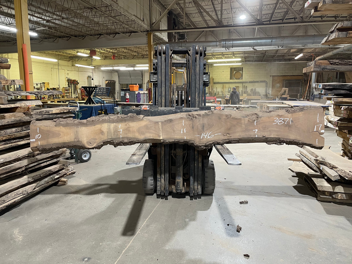 BLACK WALNUT (3871) 146” L x 7&quot;-17” W x 2.5”