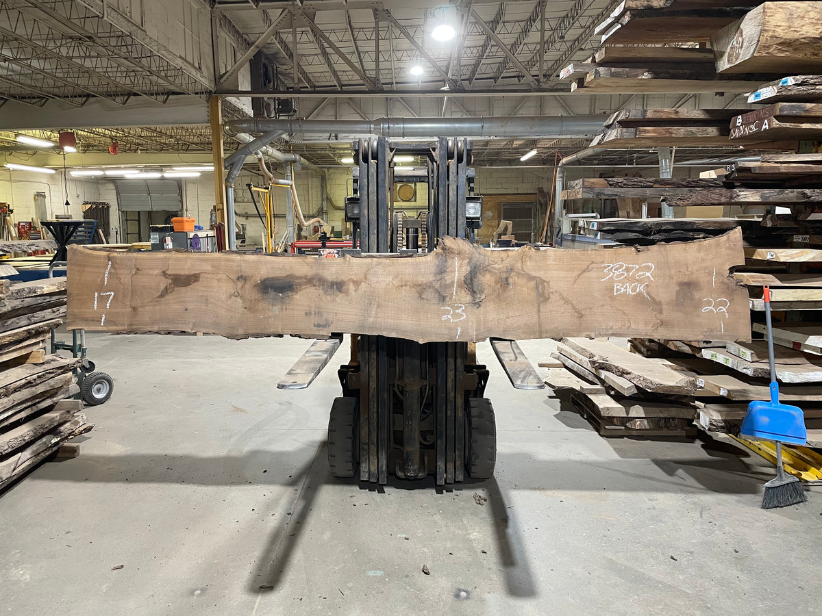 BLACK WALNUT (3872) 147” L x 14&quot;-21” W x 2.5”