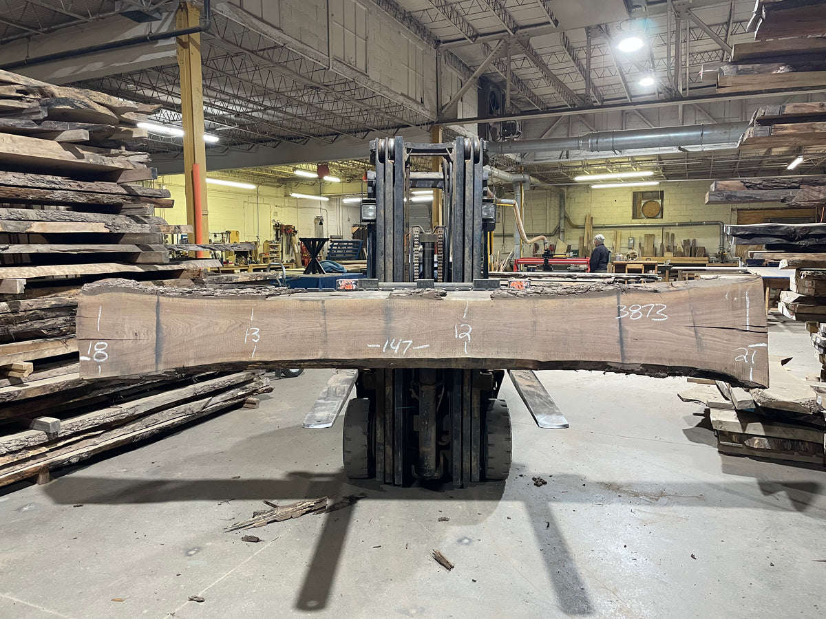 BLACK WALNUT (3873) 147” L x 12&quot;-21” W x 2.5”