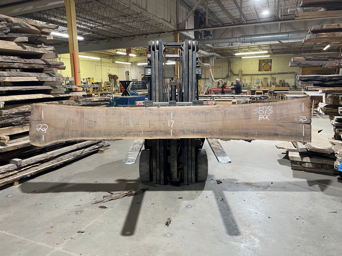BLACK WALNUT (3873) 147” L x 12&quot;-21” W x 2.5”