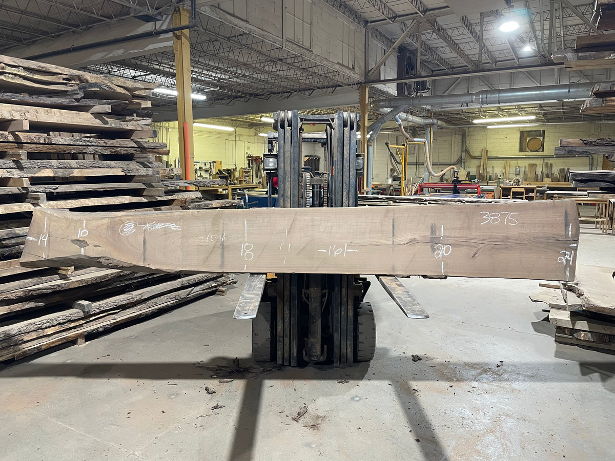 BLACK WALNUT (3875) 161” L x 10"-24” W x 2.5”