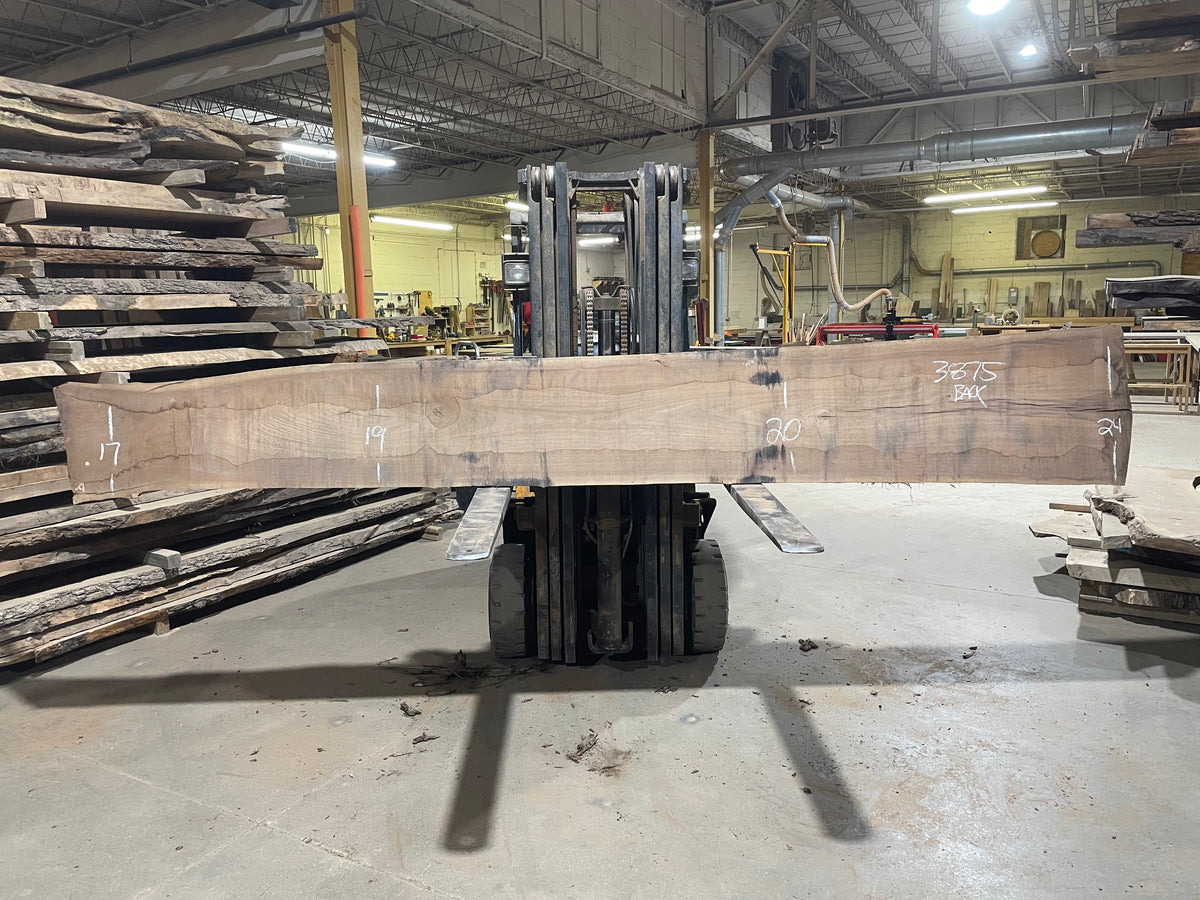 BLACK WALNUT (3875) 161” L x 10"-24” W x 2.5”