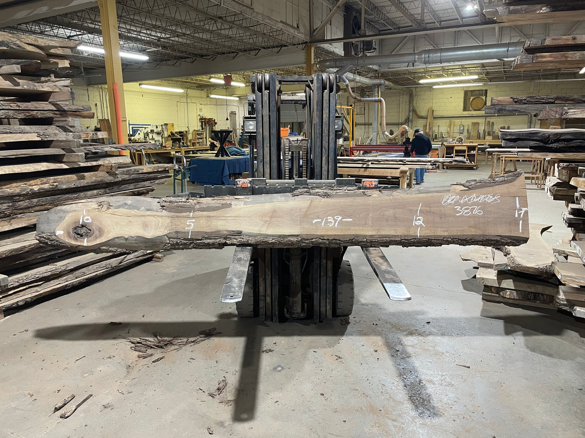 BLACK WALNUT (3876) 139” L x 5"-17” W x 2.5”