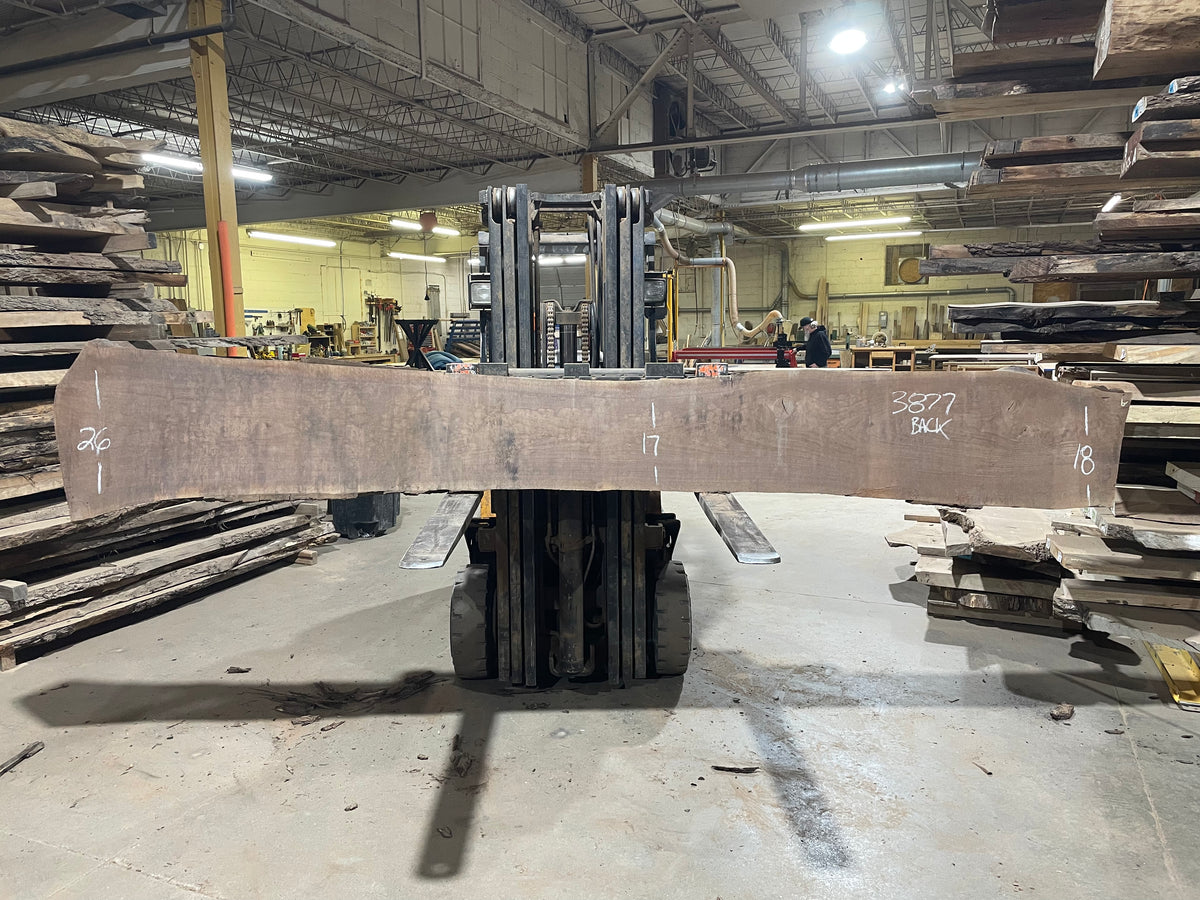 BLACK WALNUT (3877) 159” L x 11"-27” W x 2.5”