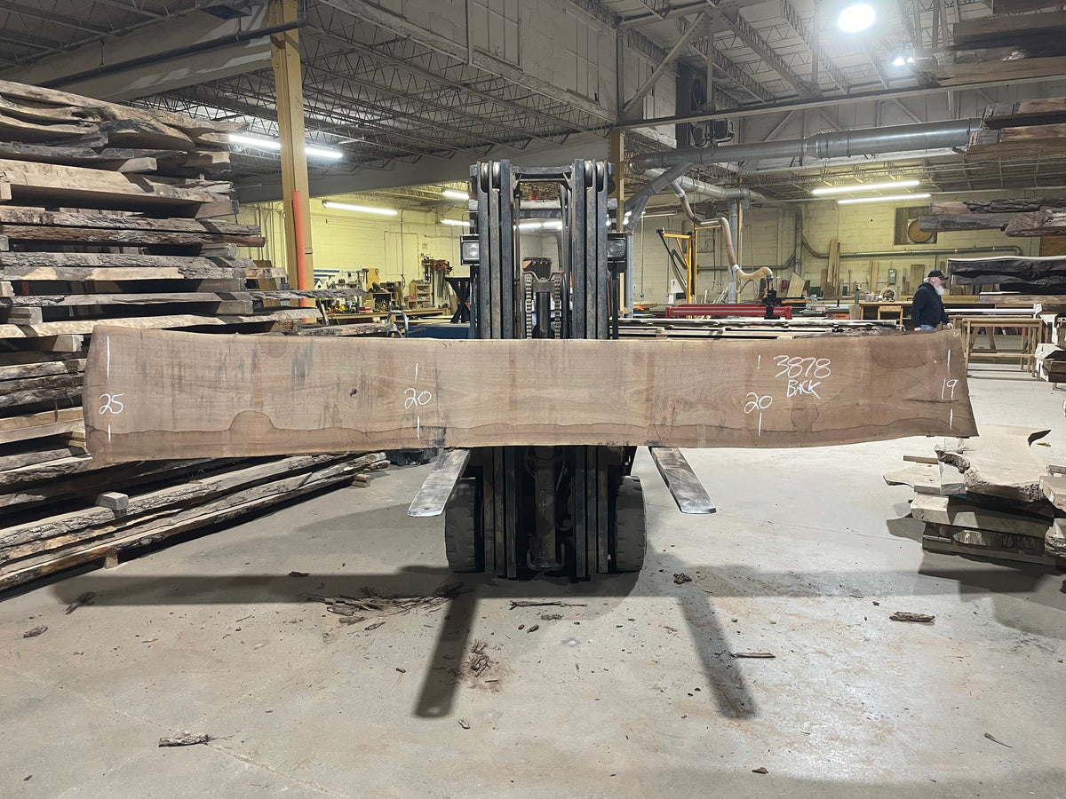 BLACK WALNUT (3878) 161” L x 18"-24” W x 2.5”